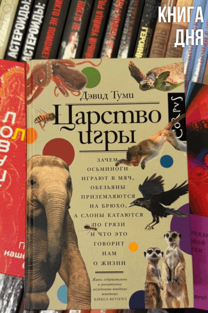 Дэвид Туми. Царство игры