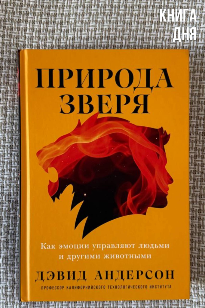 Дэвид Андерсон. Природа зверя