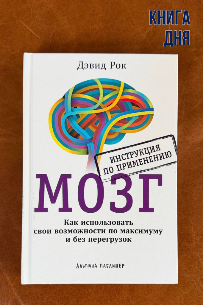Дэвид Рок. Мозг